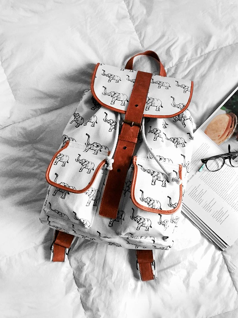 cynthia-del-rio-tJWUHtIDzWs-unsplash Women's canvas backpack